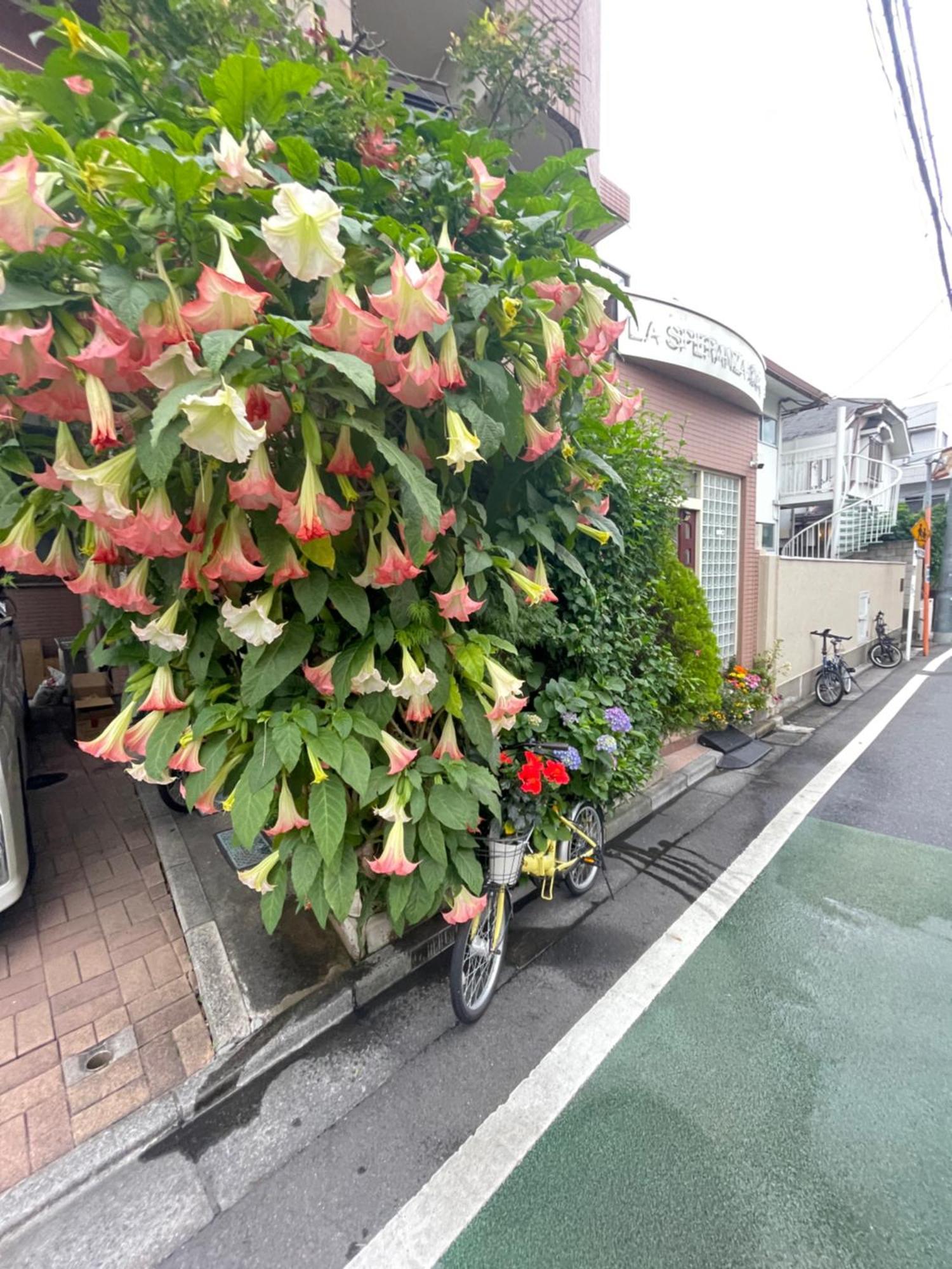新宿庭院の屋-Shinjuku Garden Home -28 Square Meters King Size Bed Garden Room Tokyo Exterior photo