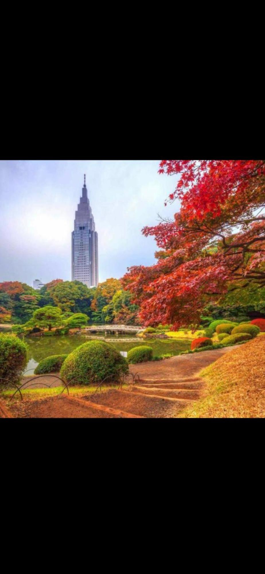 新宿庭院の屋-Shinjuku Garden Home -28 Square Meters King Size Bed Garden Room Tokyo Exterior photo