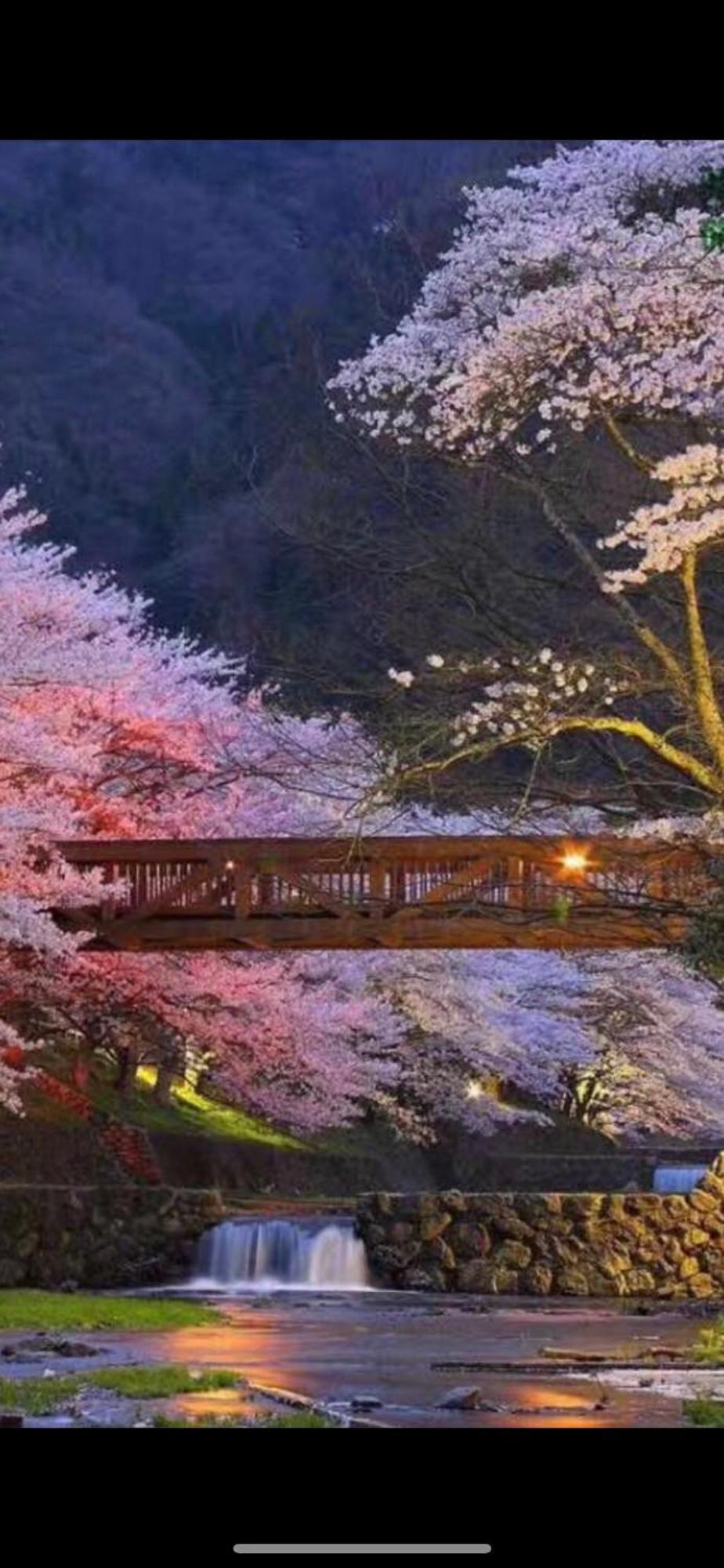 新宿庭院の屋-Shinjuku Garden Home -28 Square Meters King Size Bed Garden Room Tokyo Exterior photo