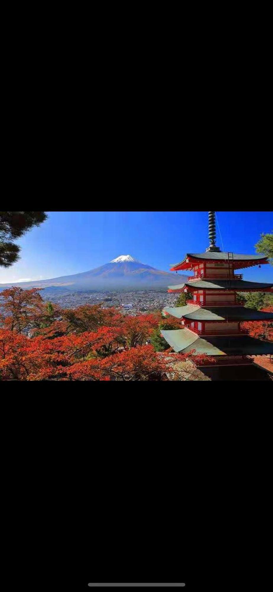 新宿庭院の屋-Shinjuku Garden Home -28 Square Meters King Size Bed Garden Room Tokyo Exterior photo